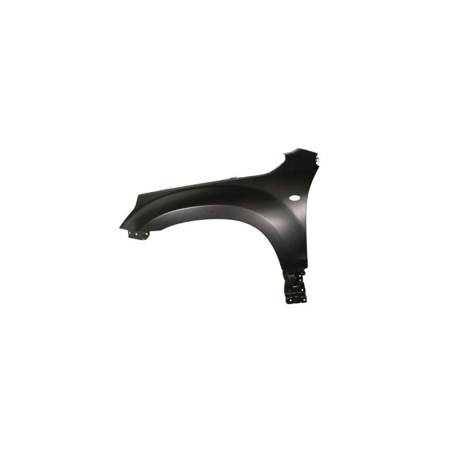 Blic 6504-04-6825313P Wing Fender for Suzuki Grand Vitara II Off-Road (Jt, Te, Td)