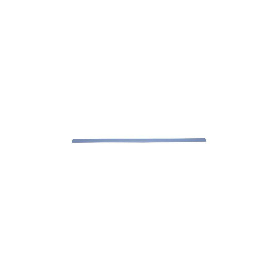 Blic 5703-04-2533576P Door Molding for Ford Focus