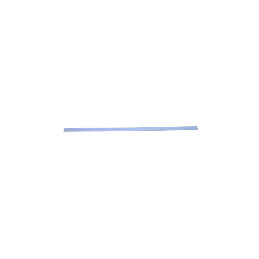 Blic 5703-04-2533575P Door Molding for Ford Focus