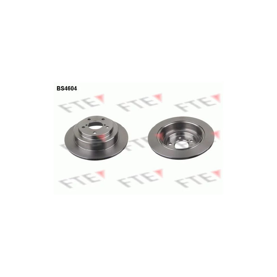 FTE Bs4604 Brake Disc