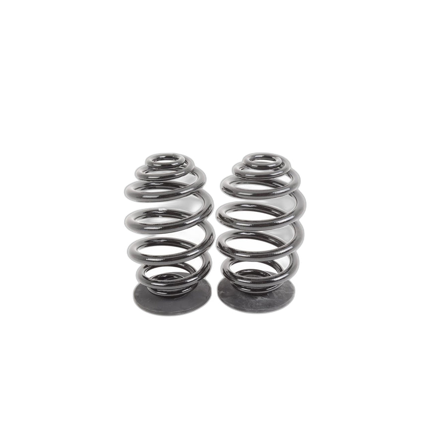 Genuine BMW 33539065357 E36 Set Coil Springs (Inc. 320i & 325i)