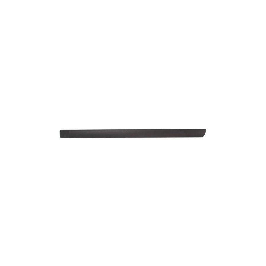 Blic 5703-04-2533573P Door Molding for Ford Focus
