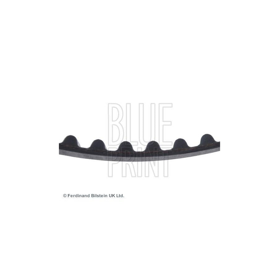 Blue Print Ads77503 Timing Belt
