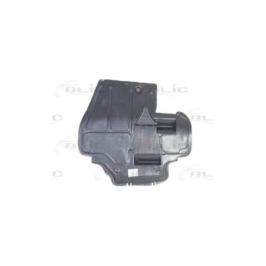 Blic 6601-02-6608860P Engine Cover