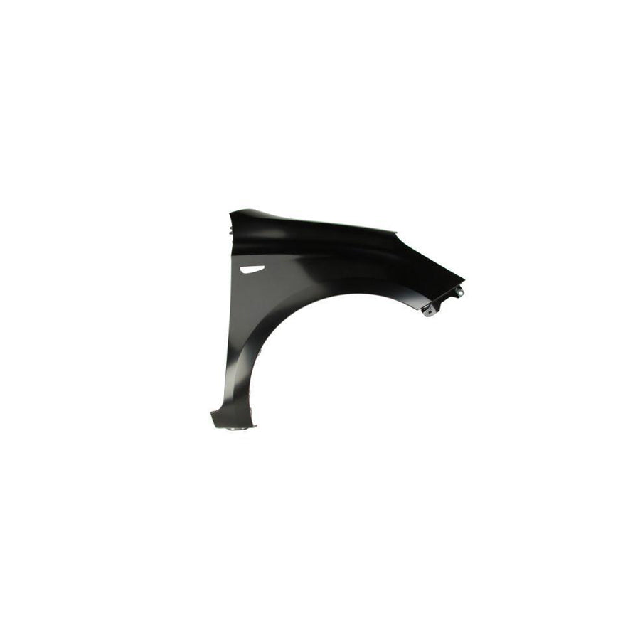 Blic 6504-04-3128312P Wing Fender for Hyundai I20 I Hatchback (Pb)