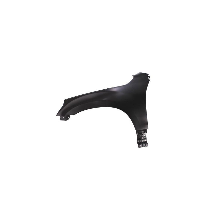 Blic 6504-04-6825311P Wing Fender for Suzuki Grand Vitara II Off-Road (Jt, Te, Td)