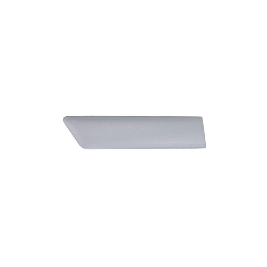 Blic 5703-04-2564478Pp Trim / Protective Strip, Mudguard for Ford Fiesta