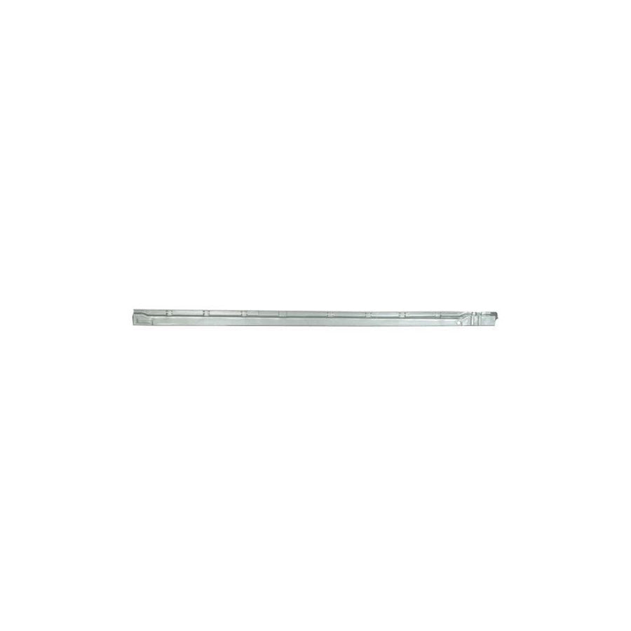 Blic 6601-01-5507834P Repair Panel For Peugeot 206