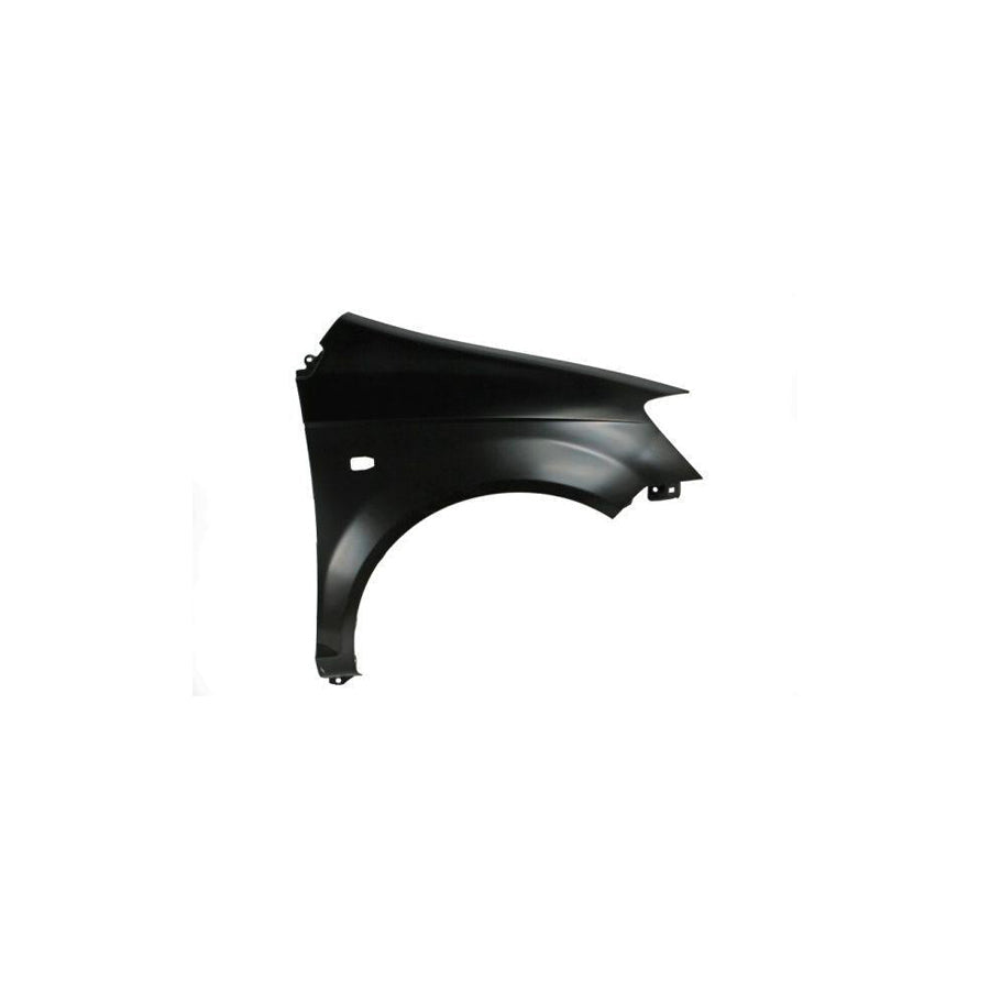 Blic 6504-04-3127312Q Wing Fender for Hyundai Getz (Tb)