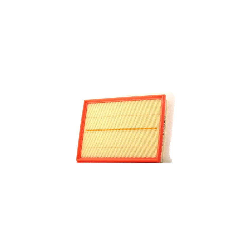 Valeo 585175 Air Filter