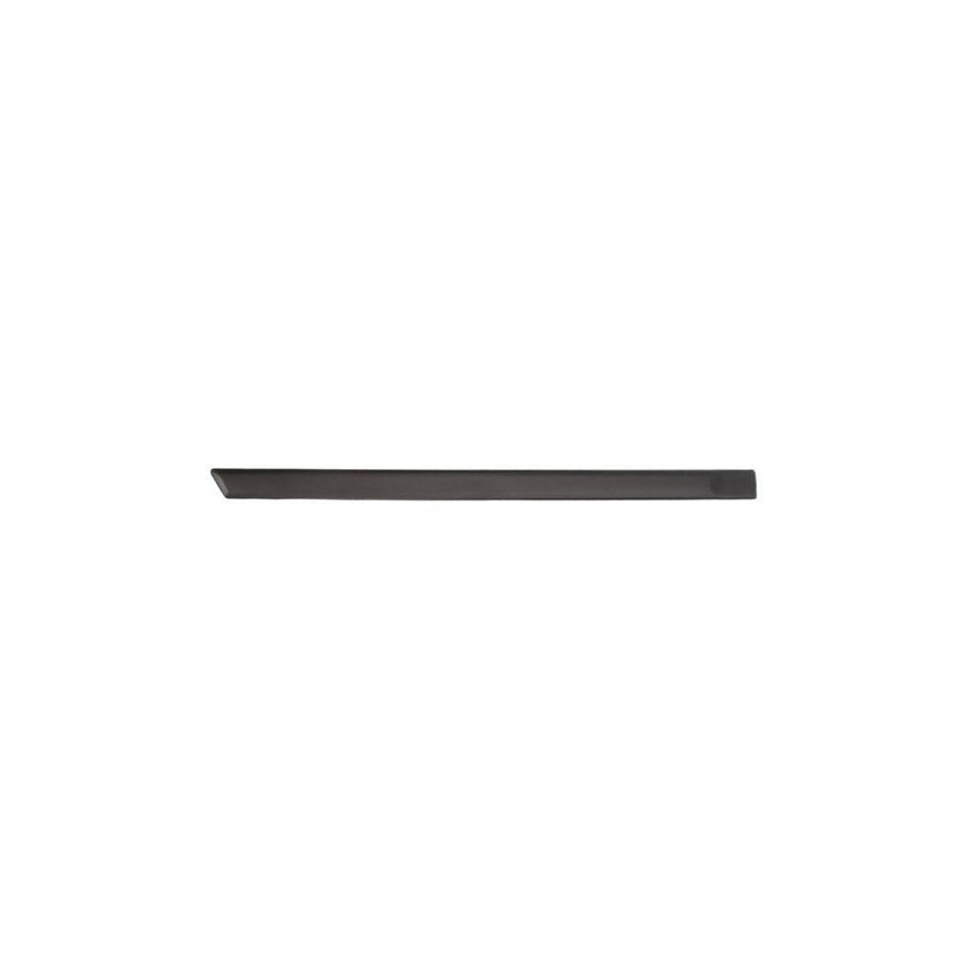 Blic 5703-04-2564478P Door Molding for Ford Fiesta Mk5 Hatchback (Jh1, Jd1, Jh3, Jd3)
