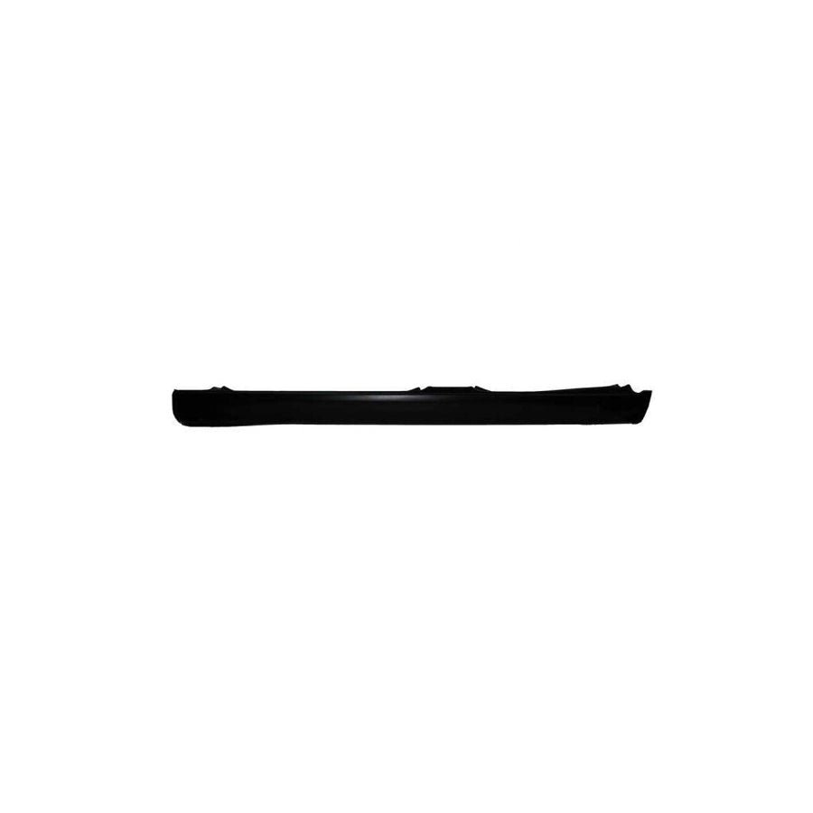 Blic 6601-01-5507832P Repair Panel For Peugeot 206