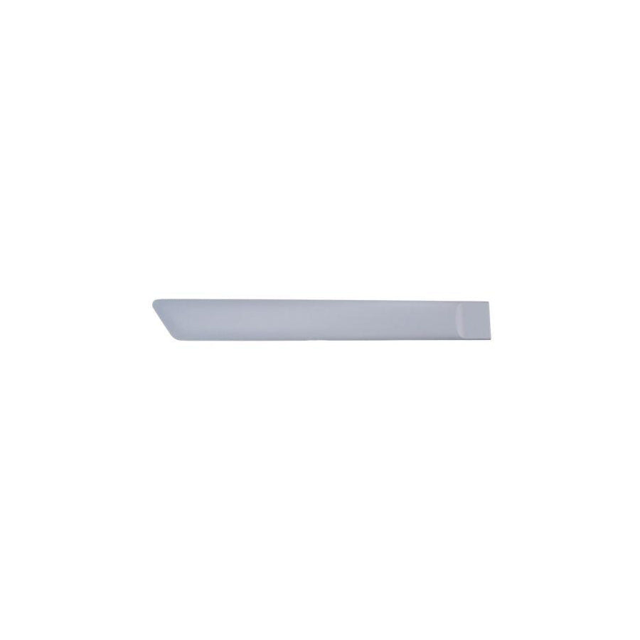 Blic 5703-04-2564478Cp Door Molding for Ford Fiesta