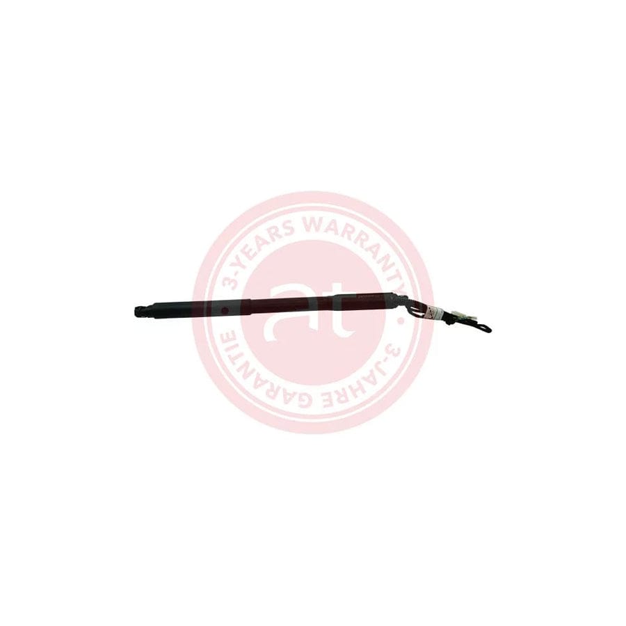 at autoteile germany At11904 Electrical Motor, Tailgate for BMW X5 (E70)