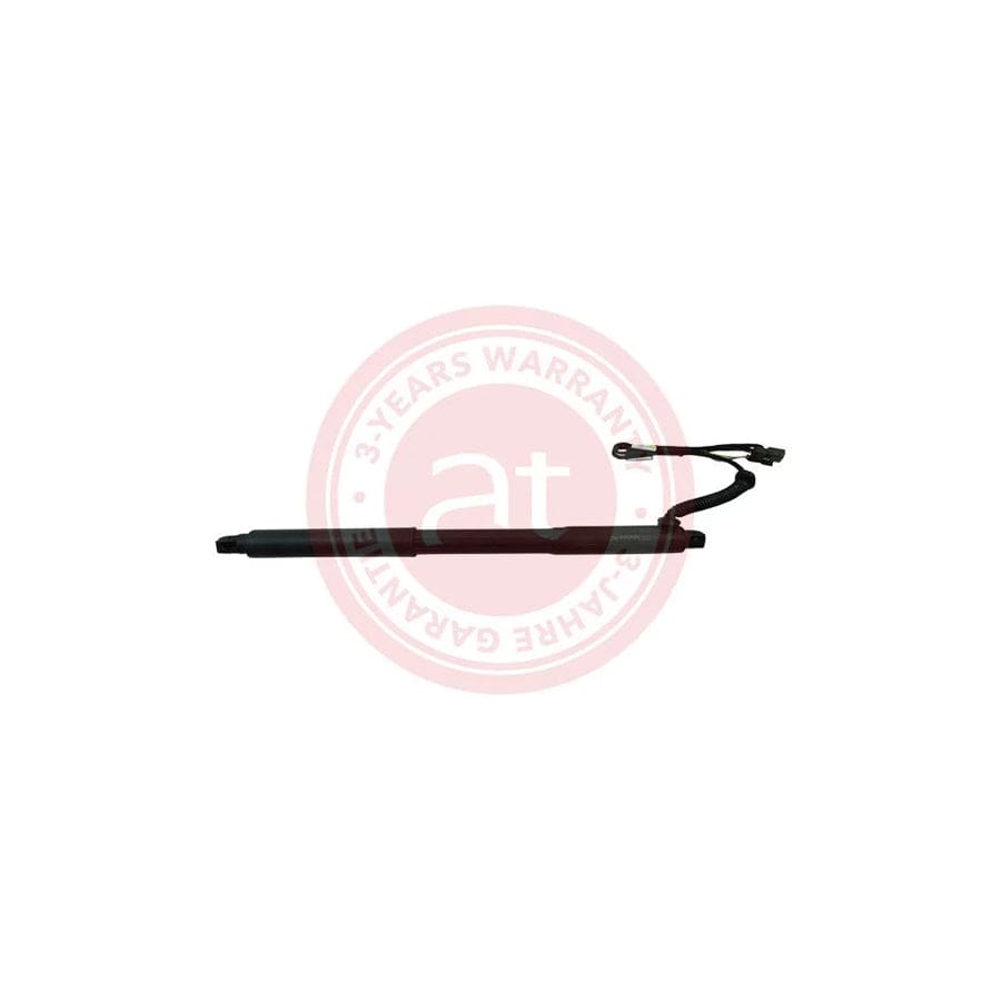 at autoteile germany At11903 Electrical Motor, Tailgate for BMW X5 (E70)