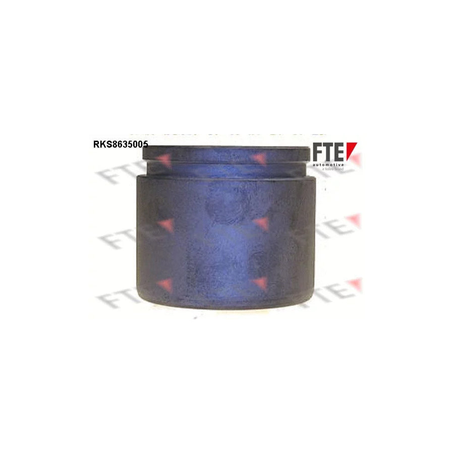 FTE Rks8635005 Piston, Brake Caliper