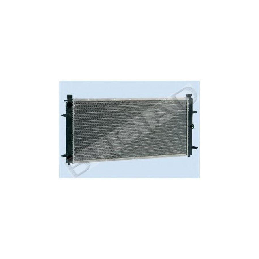 BUGIAD Bsp22455 Engine Radiator for VW Transporter