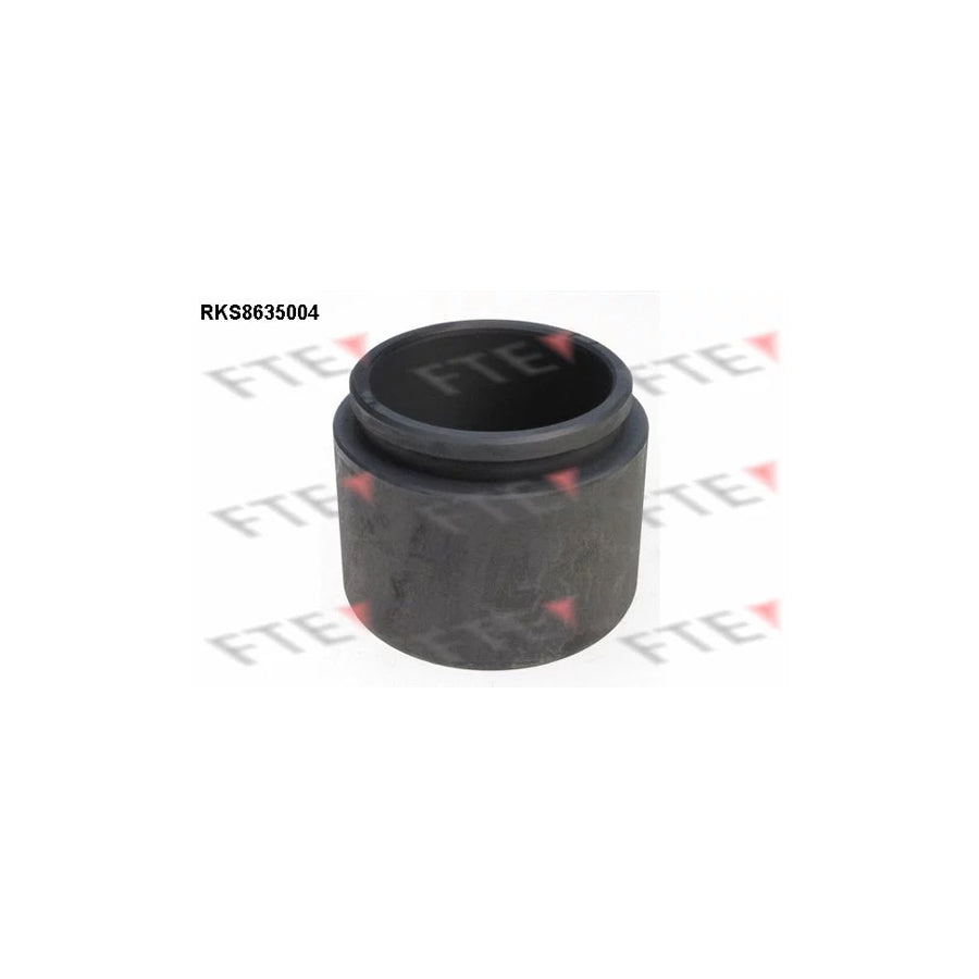FTE Rks8635004 Piston, Brake Caliper
