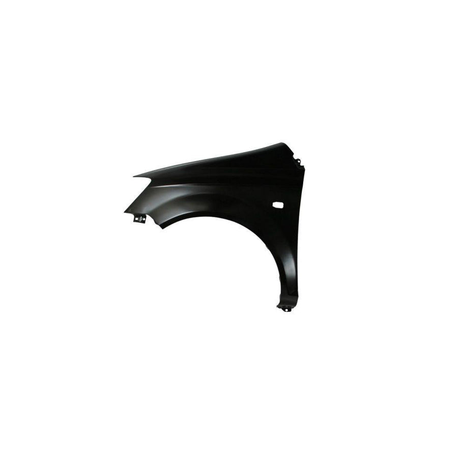 Blic 6504-04-3127311P Wing Fender for Hyundai Getz (Tb)