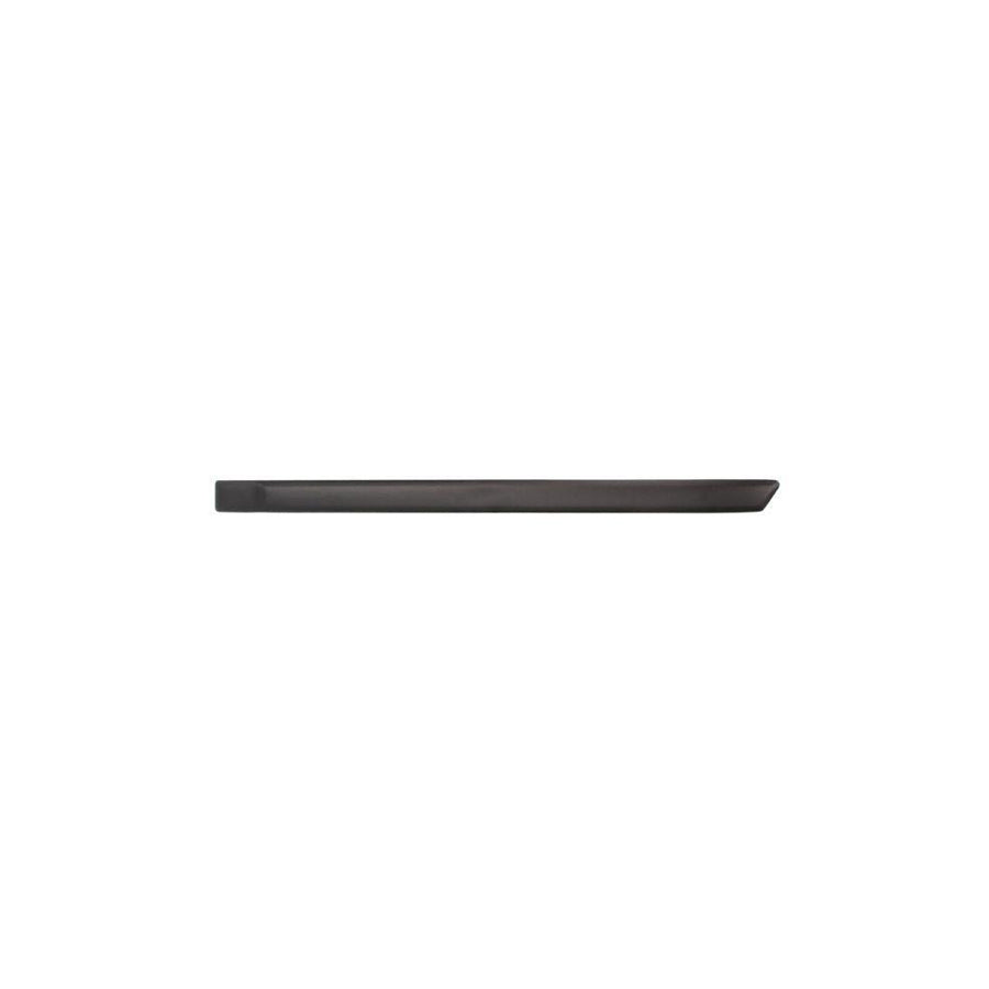Blic 5703-04-2564477P Door Molding for Ford Fiesta Mk5 Hatchback (Jh1, Jd1, Jh3, Jd3)