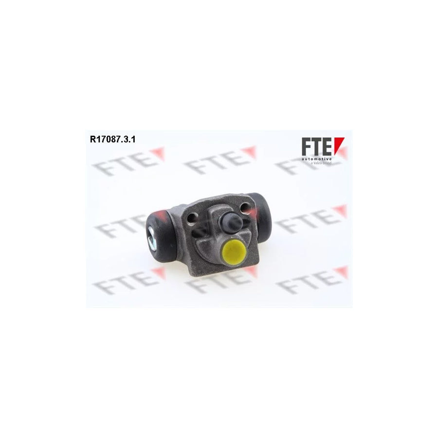 FTE R17087.3.1 Wheel Brake Cylinder