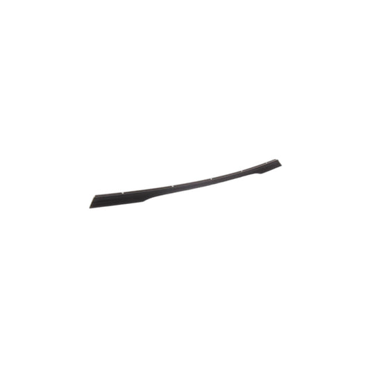 Genuine BMW 51113442832 E86 Spoiler Front (Inc. Z4 M3.2)