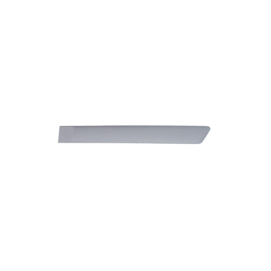Blic 5703-04-2564477Cp Door Molding for Ford Fiesta