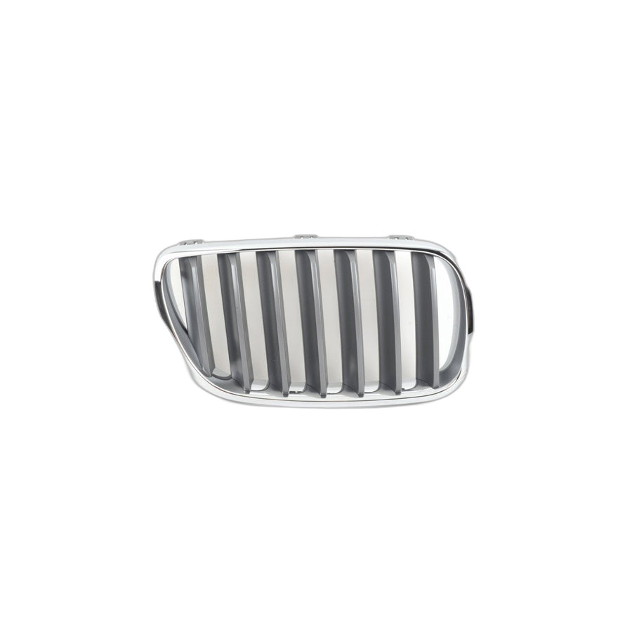 Genuine BMW 51113420092 E83 Grille, Front, Right GRAPHITMETALLIC (Inc. X3 2.5si, X3 3.0i & X3 2.0i)
