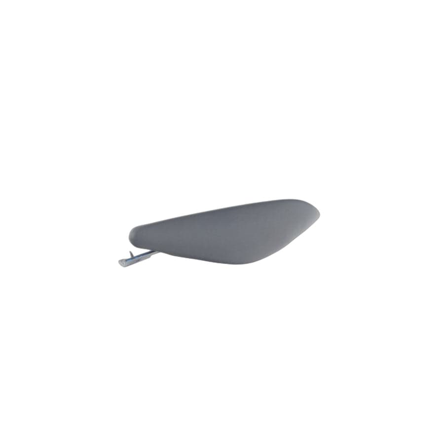 Genuine BMW 51169135184 E71 E72 Right Knee Pad SCHWARZ (Inc. X6 M50dX, X6 40dX & X6 50iX)