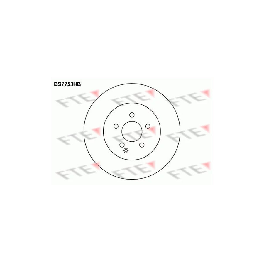 FTE Bs7253Hb Brake Disc