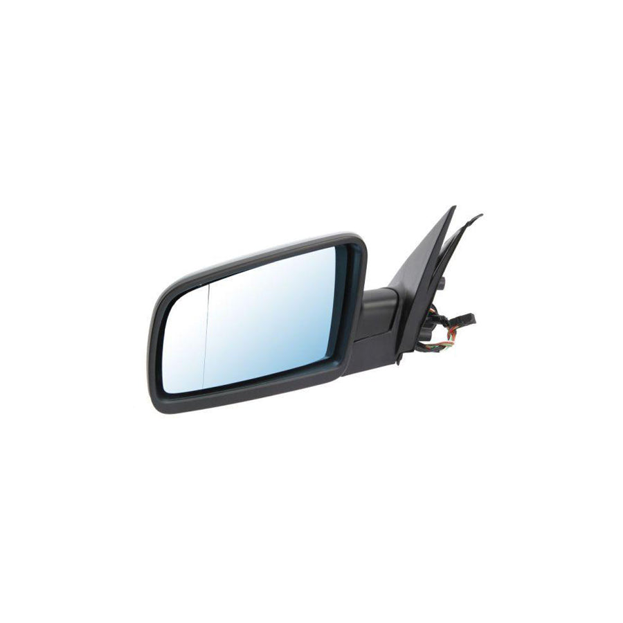 Blic 5402-04-1191825 Wing Mirror for BMW 5 Series