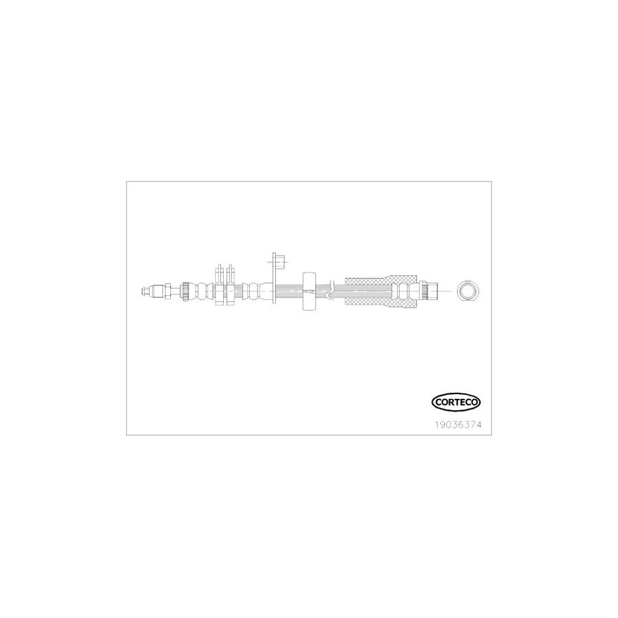 Corteco 19036374 Brake Hose