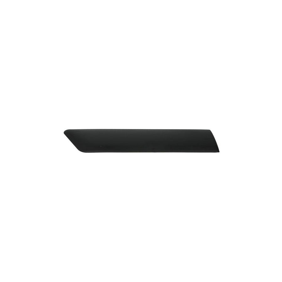 Blic 5703-04-2564474Pp Trim / Protective Strip, Mudguard for Ford Fiesta