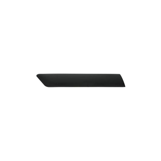 Blic 5703-04-2564474Pp Trim / Protective Strip, Mudguard for Ford Fiesta