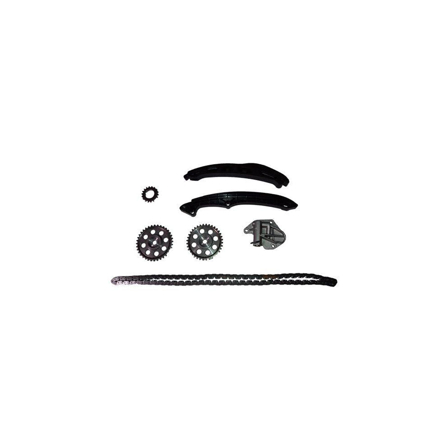BUGIAD Bsp24577 Timing Chain Kit