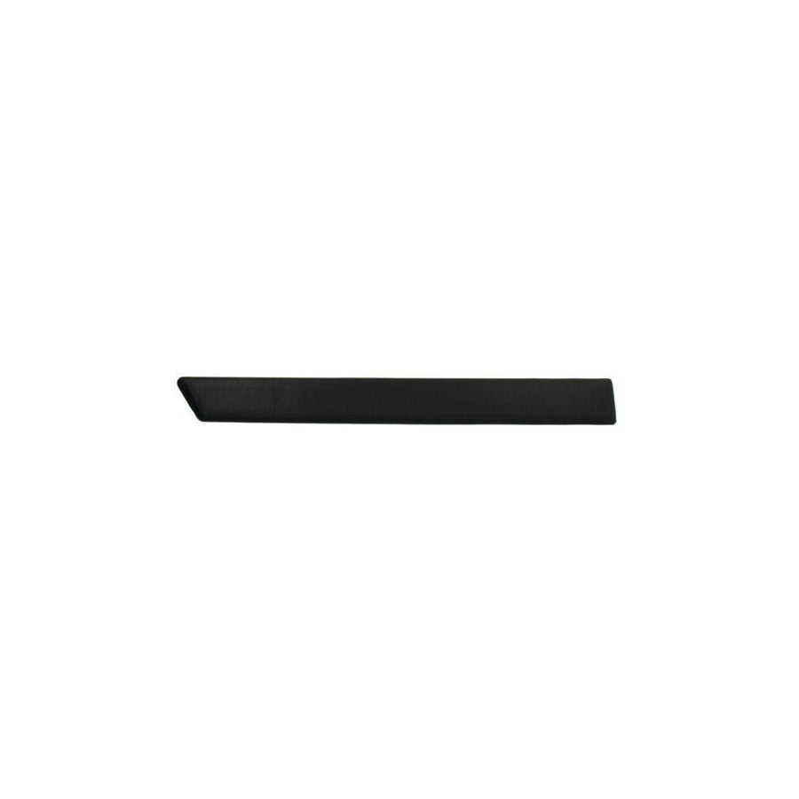 Blic 5703-04-2564474P Trim / Protective Strip, Mudguard for Ford Fiesta