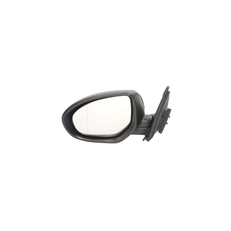 Blic 5402-14-2001695P Wing Mirror for Mazda 3