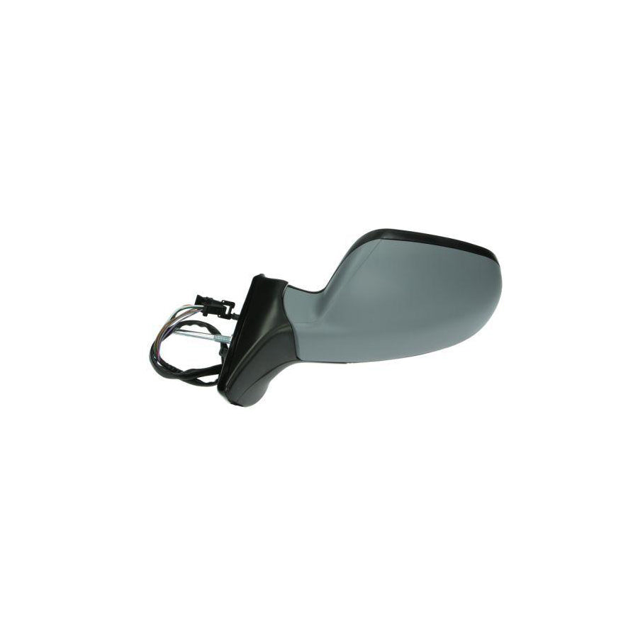 Blic 5402-04-1191729P Wing Mirror for Peugeot 407