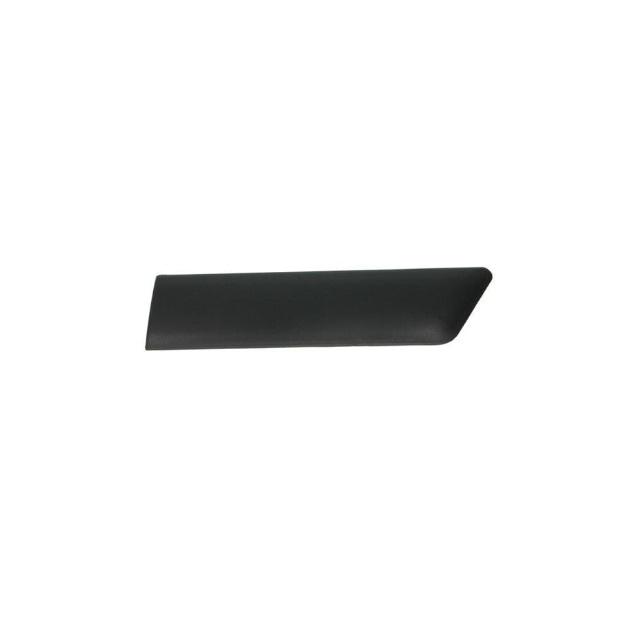 Blic 5703-04-2564473Pp Trim / Protective Strip, Mudguard for Ford Fiesta
