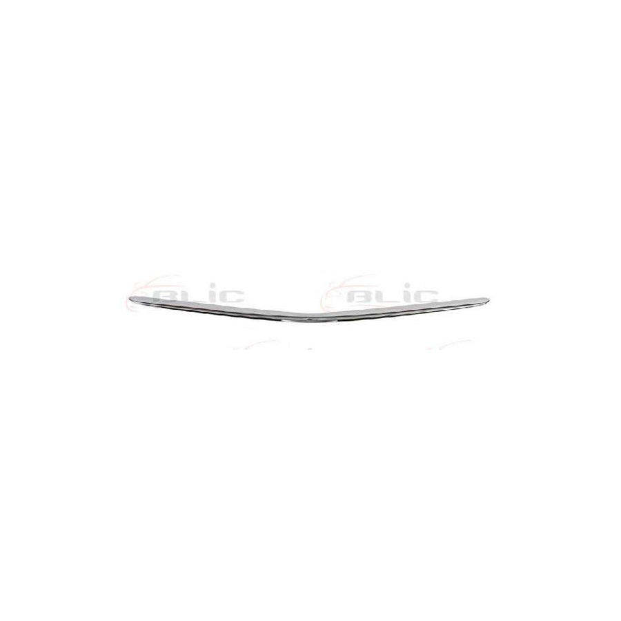 Blic 6502-07-8198211P Trim / Protective Strip, Radiator Grille for Toyota Prius II Liftback (Xw20)