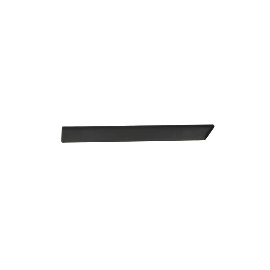Blic 5703-04-2564473P Trim / Protective Strip, Mudguard for Ford Fiesta