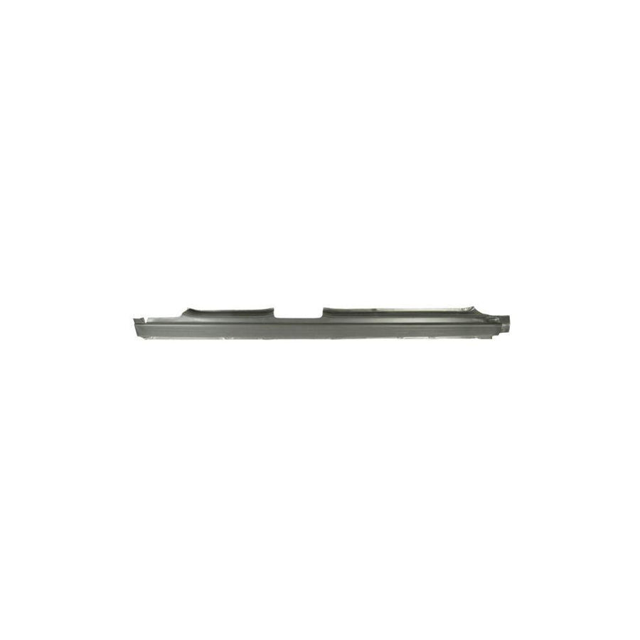 Blic 6601-01-5519801Q Repair Panel For Peugeot 308