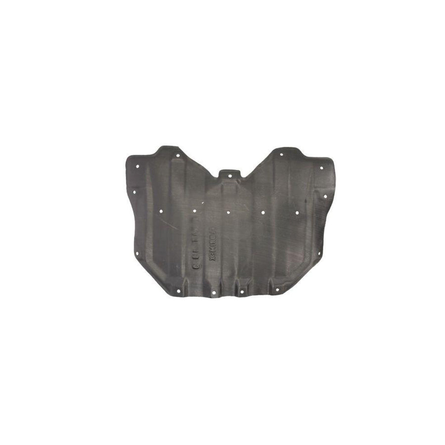 Blic 6601-02-6825860P Engine Cover for Suzuki Grand Vitara II Off-Road (Jt, Te, Td)