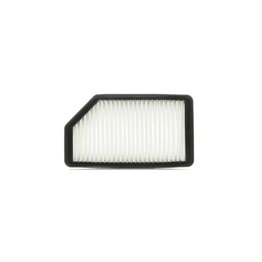 Ridex 8A0480 Air Filter