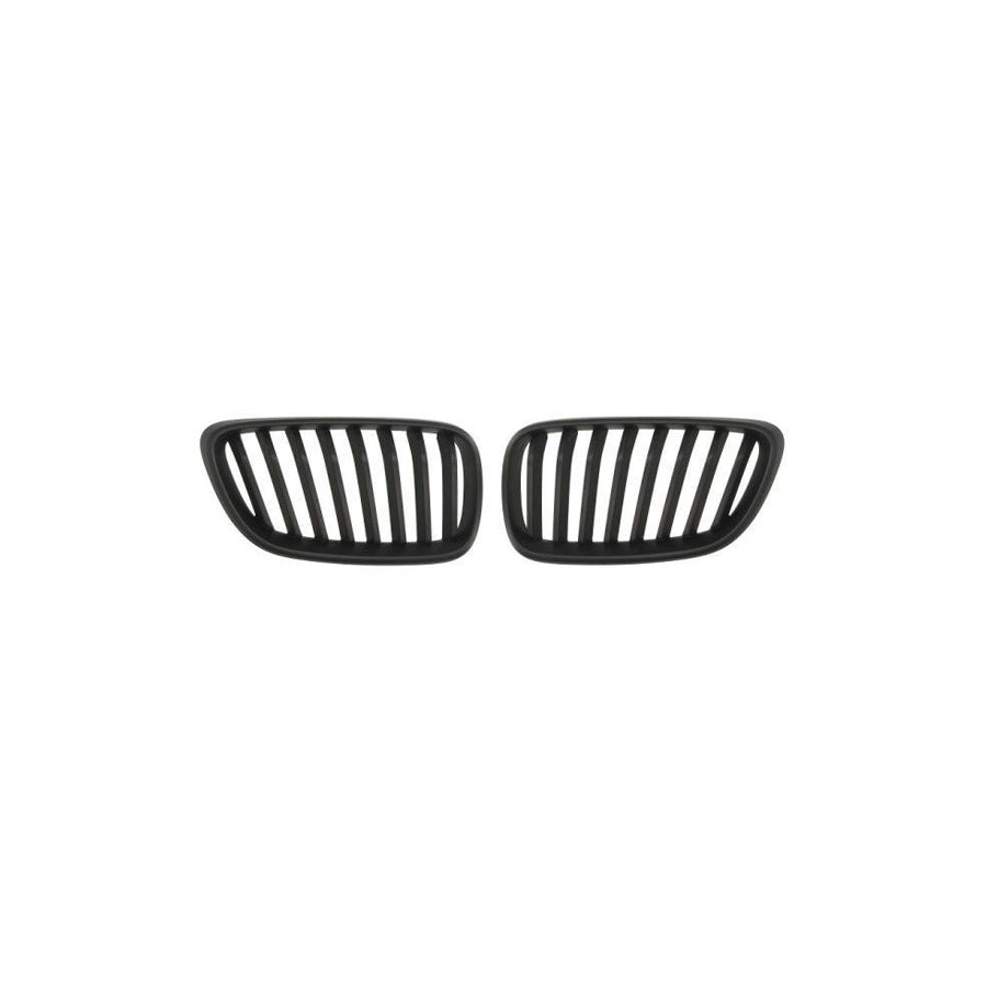 Blic 6502-07-0069994P Radiator Grille for BMW 2 Series