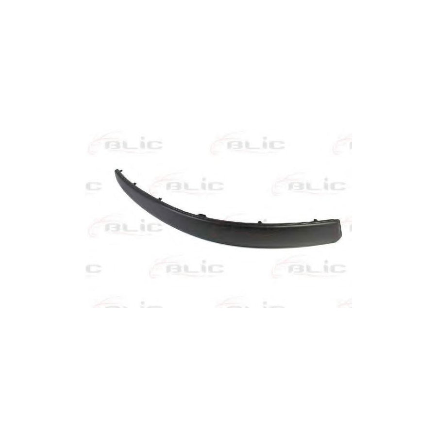 Blic 5703-05-9539922P Bumper Moulding for VW Passat