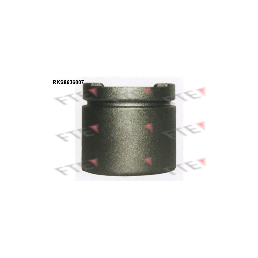 FTE Rks8636007 Piston, Brake Caliper