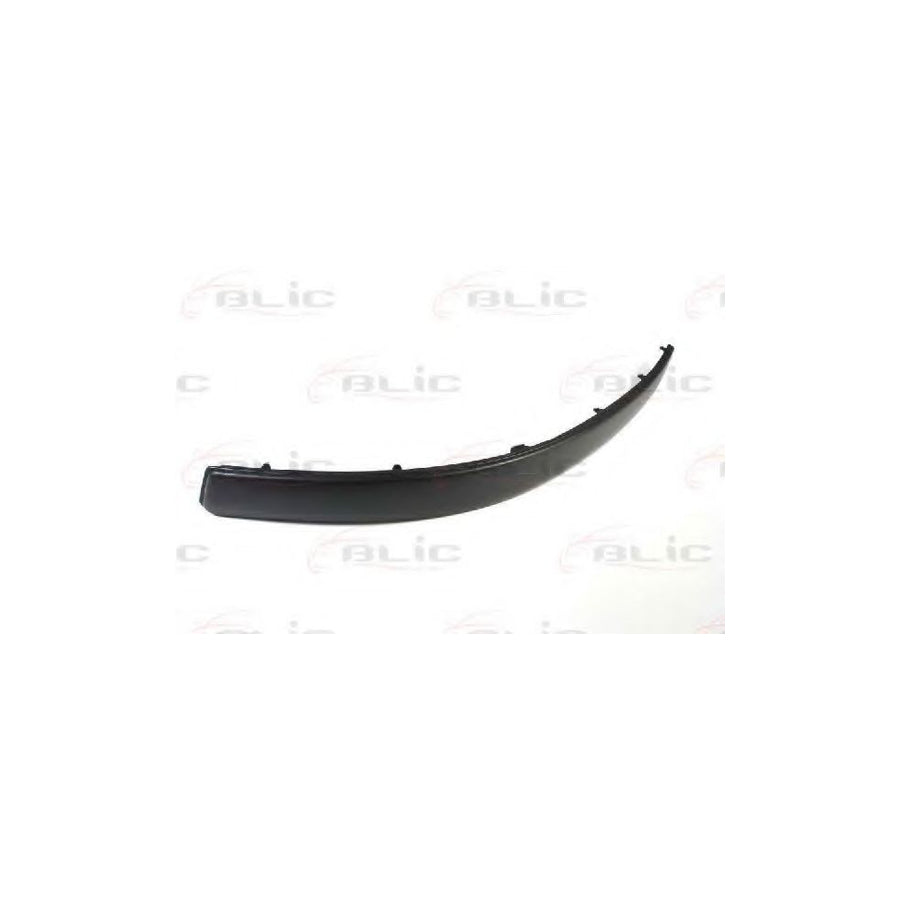 Blic 5703-05-9539921P Bumper Moulding for VW Passat