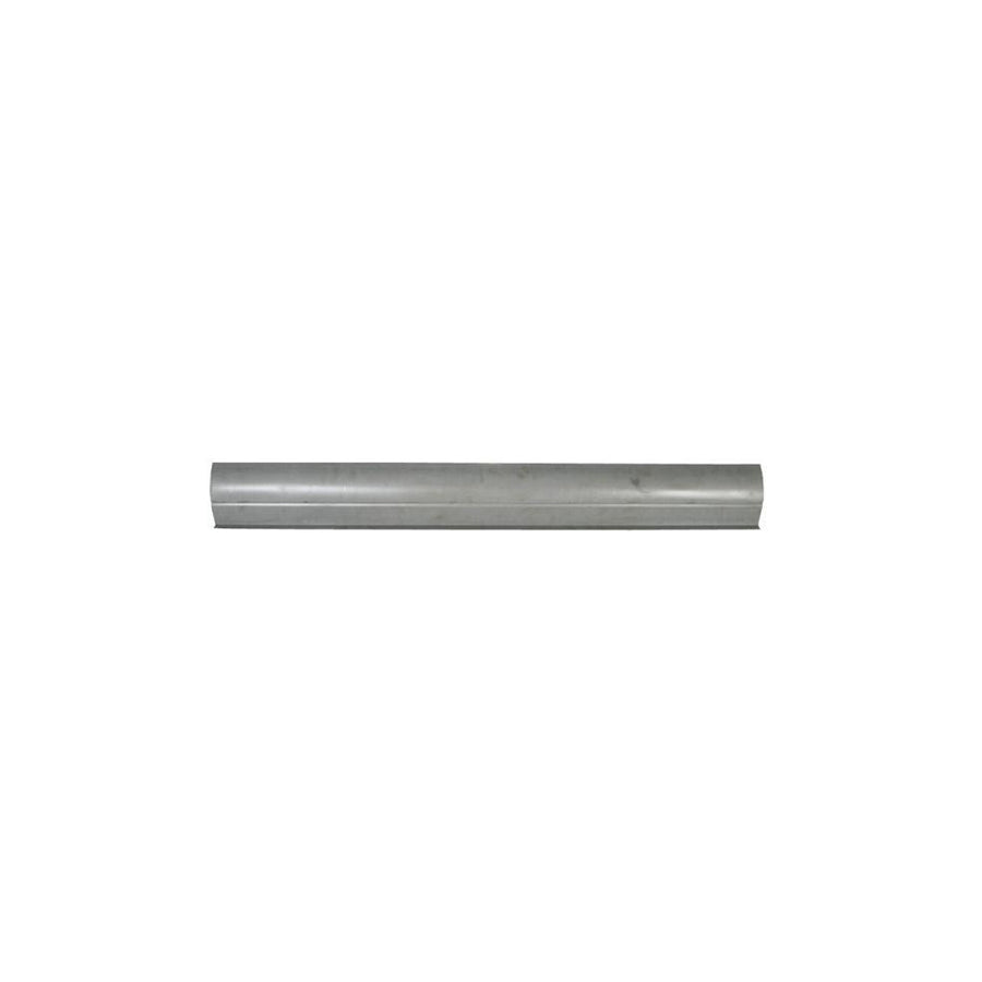 Blic 6505-06-2595015P Rocker Panel for Ford USA Windstar (A3)