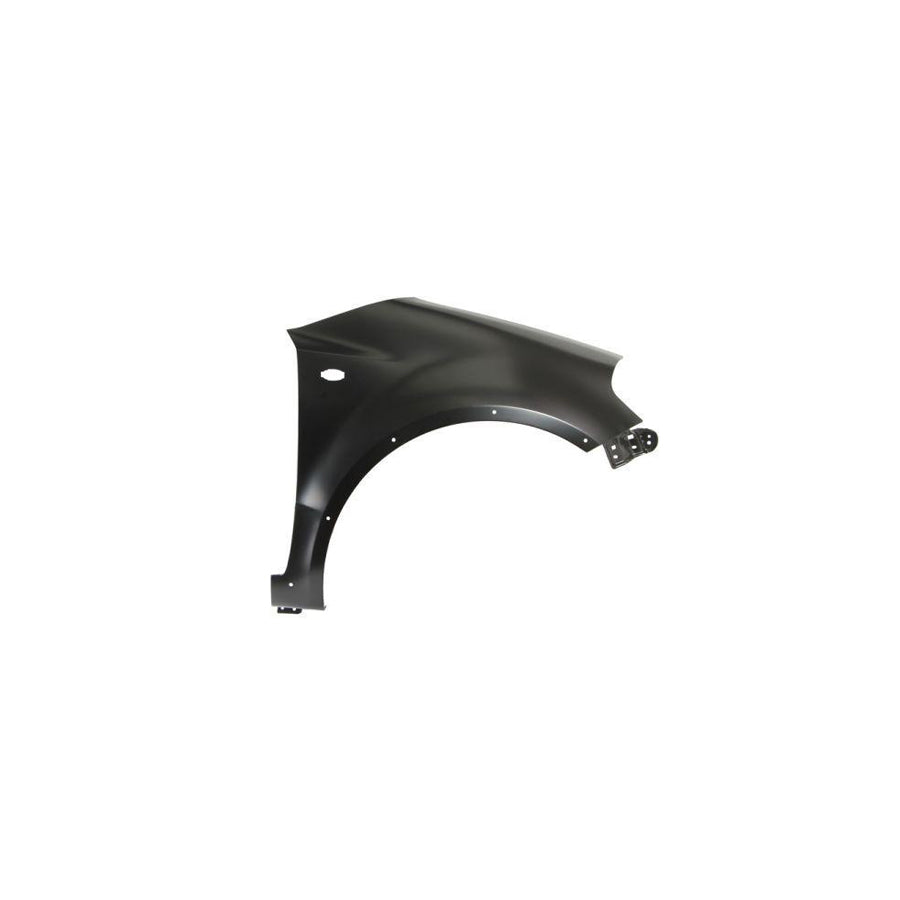 Blic 6504-04-6835314P Wing Fender
